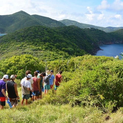 School-SeaTrek-BVI-15