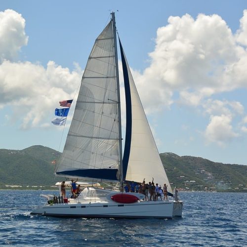 School-SeaTrek-BVI-17