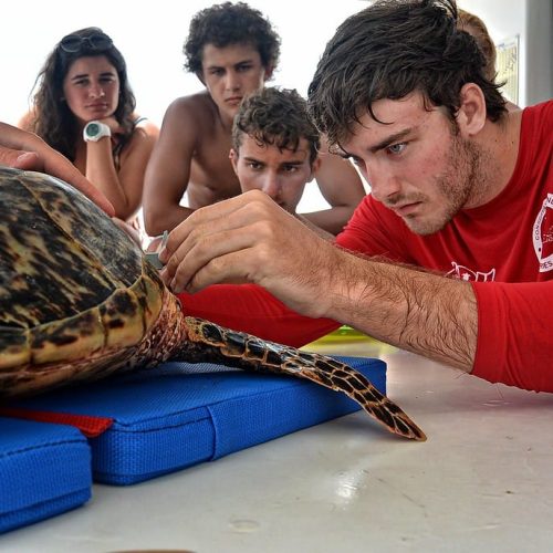 School-SeaTrek-BVI-18