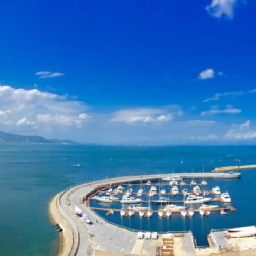 School-Shenzhen Unione Sailing Company-China-05