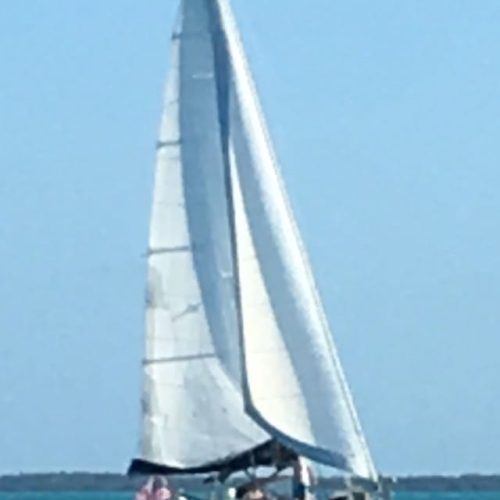 School-Stem to Stern-FL-10