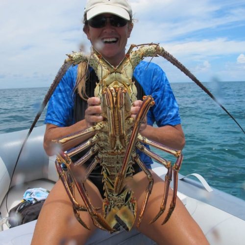 School-Sunshine Coast Adventures-01