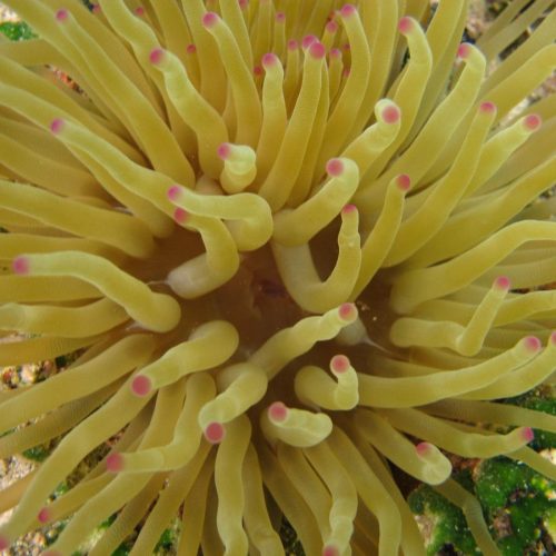 School-Sunshine Coast Adventures-10