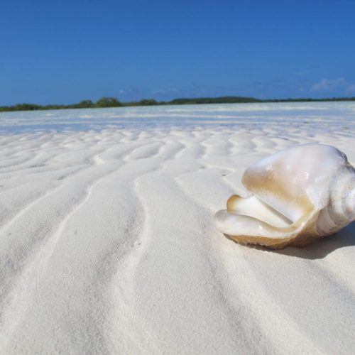 School-Sunshine Coast Adventures-12