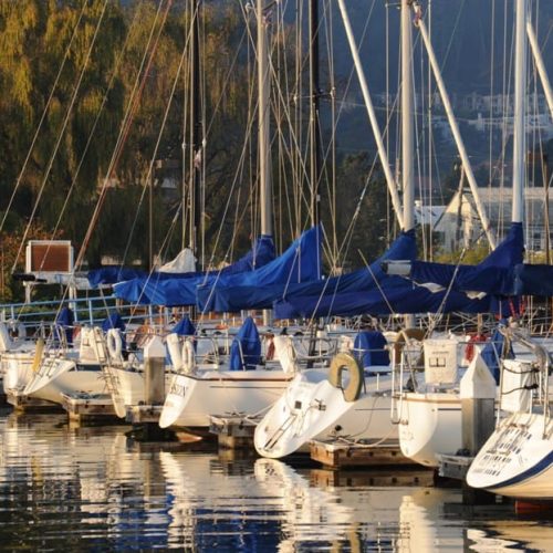 news-2021-2-21- modern sailing